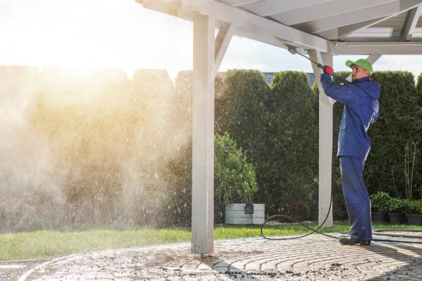 Best Dumpster Area Cleaning  in Eatons Neck, NY